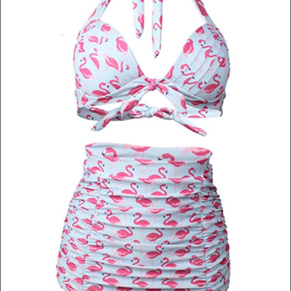 Flamingo two piece bathing suit